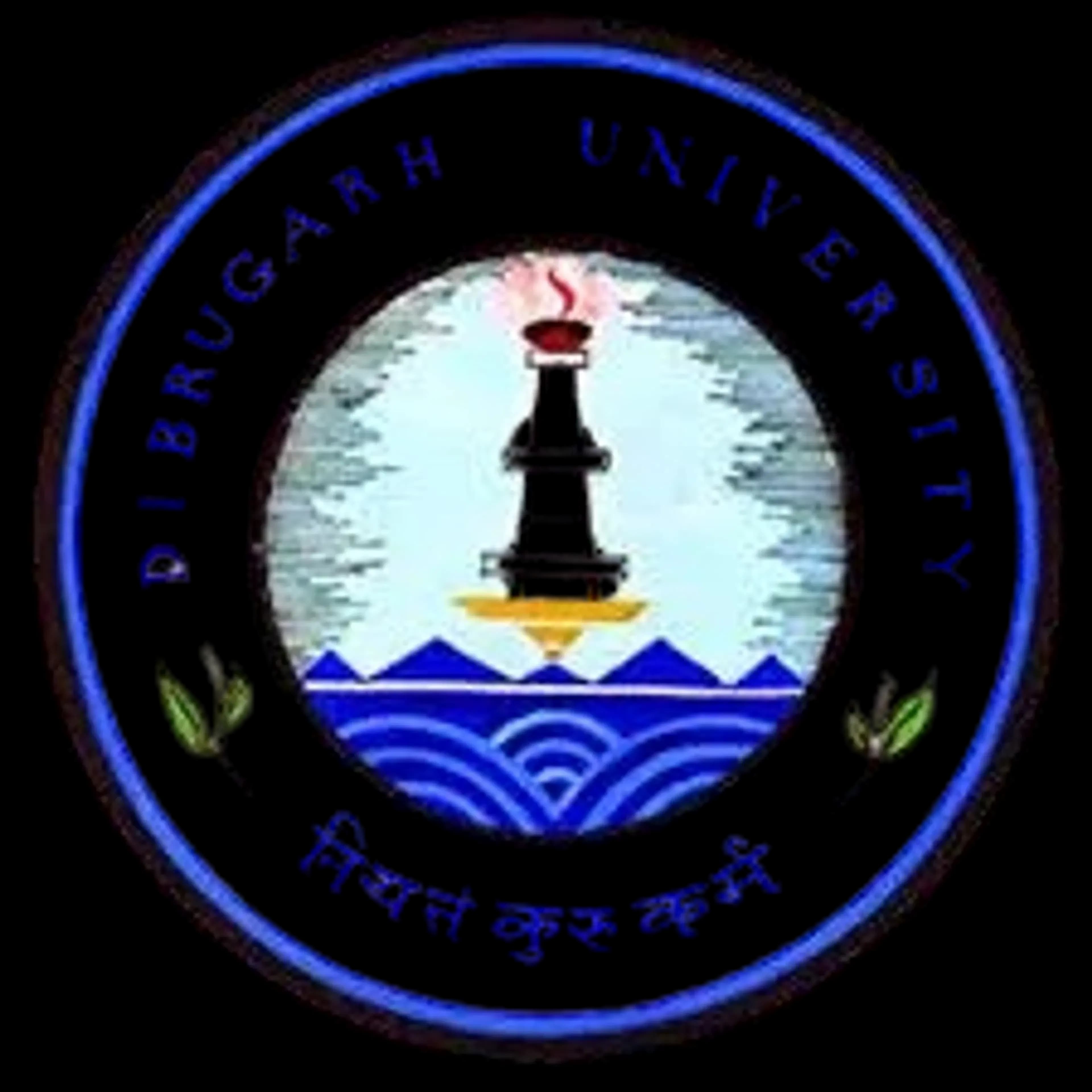 Dibrugarh University